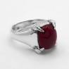Anello Artigli